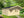 GOTLAND-A 4.4x4.4m Log Cabin - Northern Log Cabins